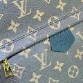 Louis Vuitton M44873 g1