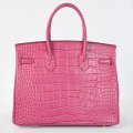 hermes birkin35 g19