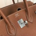 Hermes birkin 25 s6