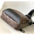 Louis Vuitton M41718 s1