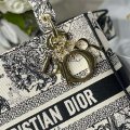 Christian Dior 103304 g1