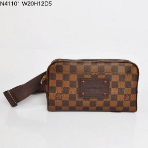 Louis Vuitton N41101