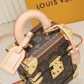 Louis Vuitton M10079 g1