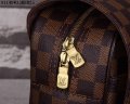 Louis Vuitton N41149